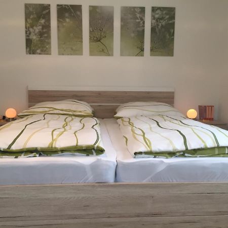 Haus Beate, Fewo Im Bienenparadies Kirchberg  外观 照片