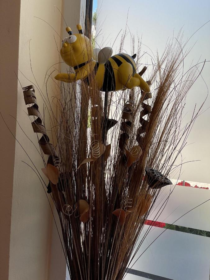 Haus Beate, Fewo Im Bienenparadies Kirchberg  外观 照片