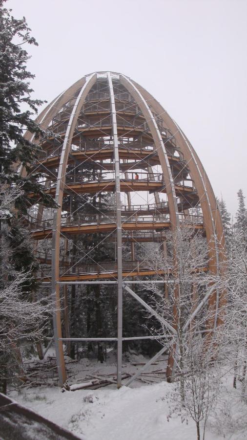 Haus Beate, Fewo Im Bienenparadies Kirchberg  外观 照片